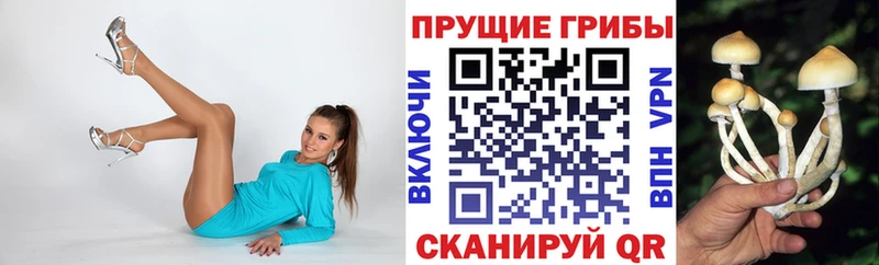 это наркотические препараты  Спас-Клепики  Галлюциногенные грибы Cubensis  сколько стоит 